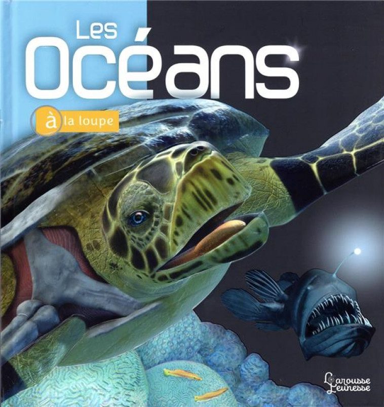 LES OCEANS - MCMILLAN/MUSICK - LAROUSSE