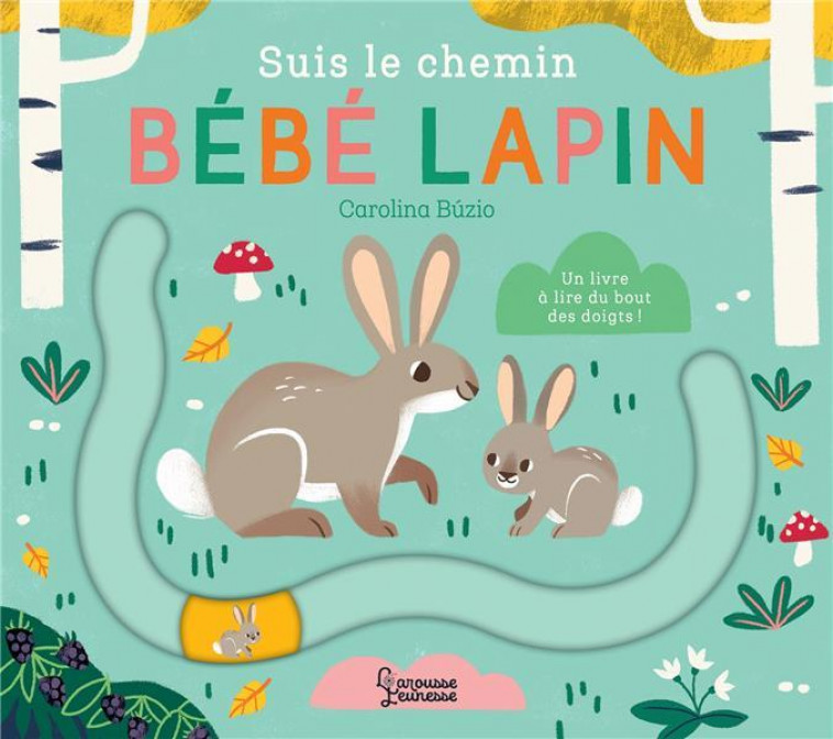 SUIS LE CHEMIN BEBE LAPIN - BUZIO CAROLINA - LAROUSSE