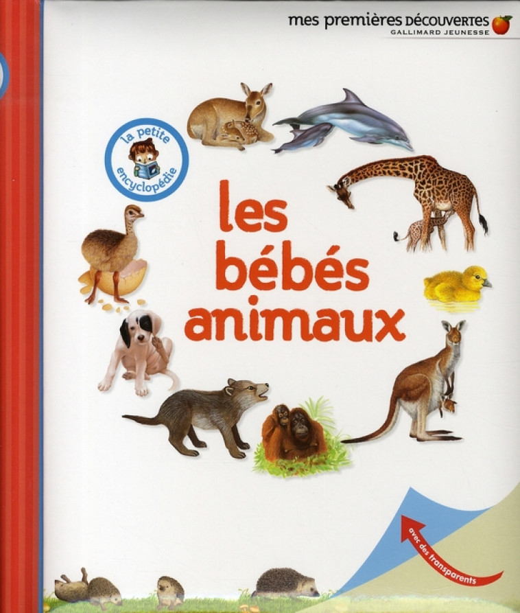 LES BEBES ANIMAUX - GRAVIER DELPHIN - GALLIMARD