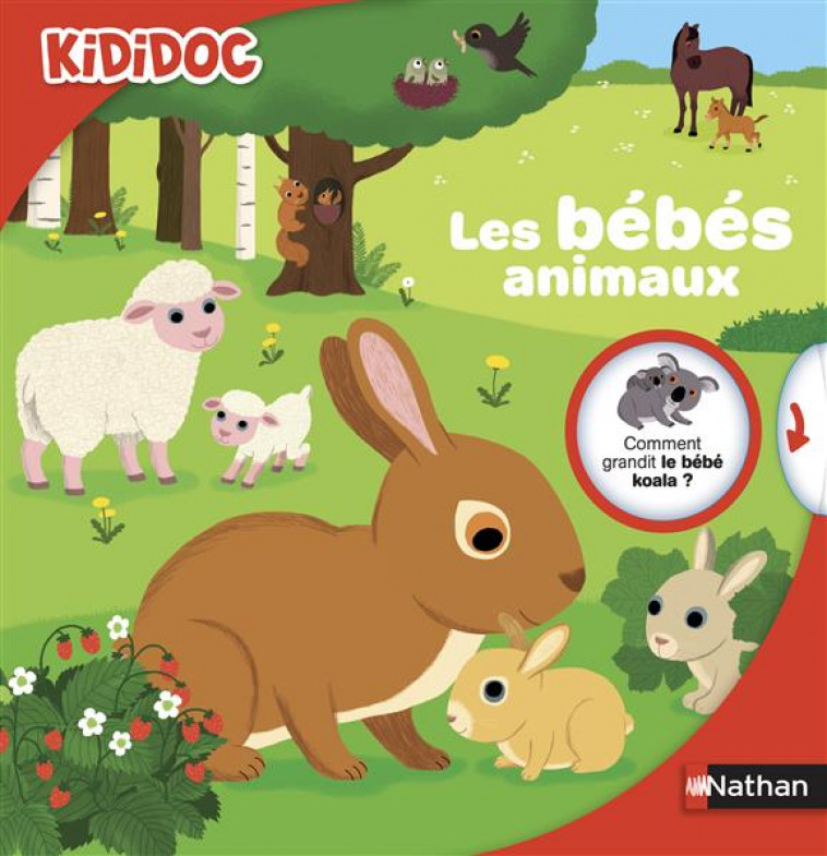 LES BEBES ANIMAUX - Cottin France - Nathan Jeunesse