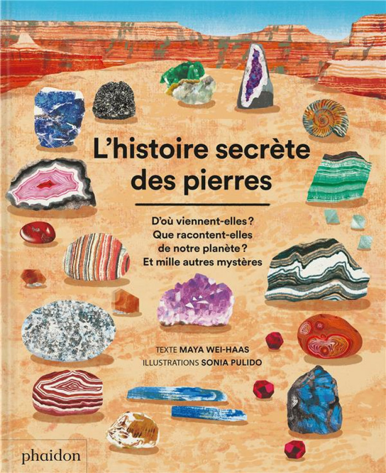 L-HISTOIRE SECRETE DES PIERRES - PULIDO SONIA - NC