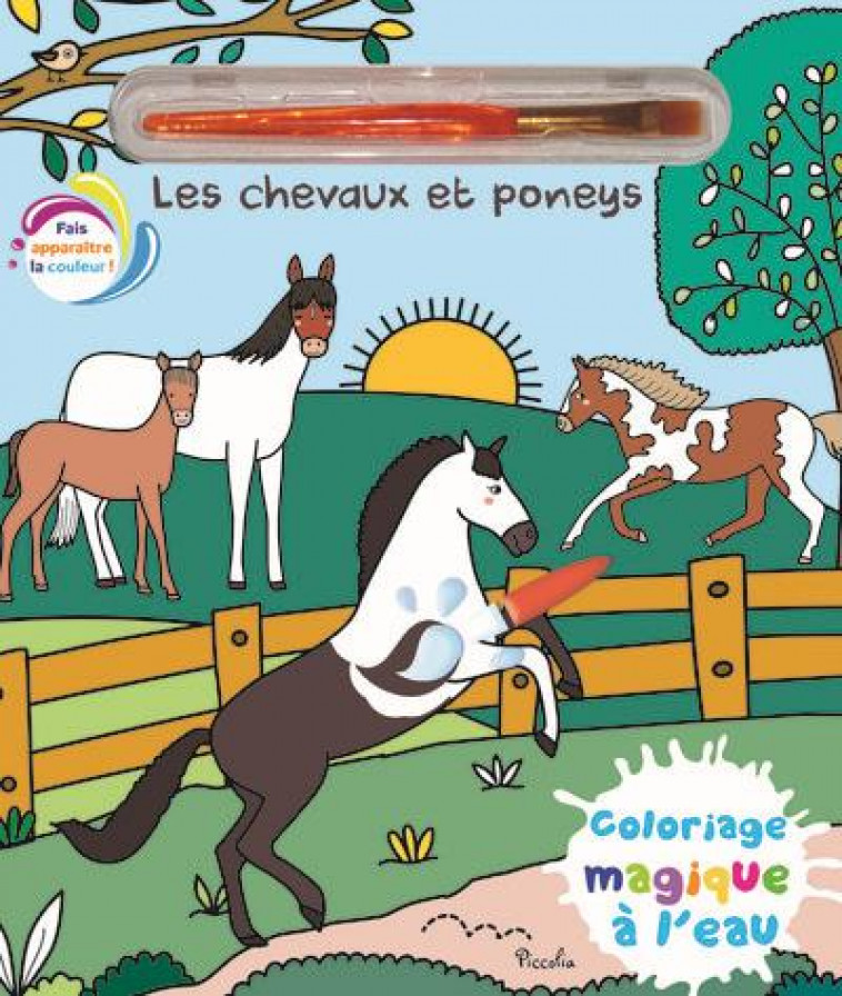 LES CHEVAUX ET PONEYS - COLORIAGE MAGIQUE A L-EAU - MORAIS ELISABETH - PICCOLIA