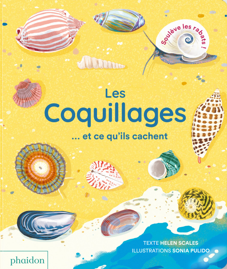 LES COQUILLAGES  ET CE QU'ILS CACHENT - Helen SCALES, Sonia PULIDO - PHAIDON FRANCE