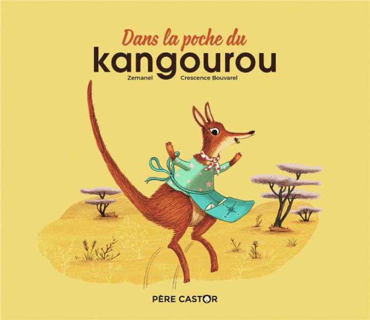 DANS LA POCHE DU KANGOUROU - BOUVAREL/ZEMANEL - FLAMMARION