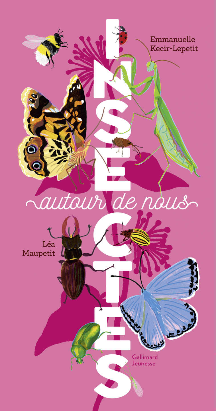 Insectes autour de nous -  EMMANUELLE KECIR-LEPETIT, Emmanuelle Kecir-Lepetit - GALLIMARD JEUNE