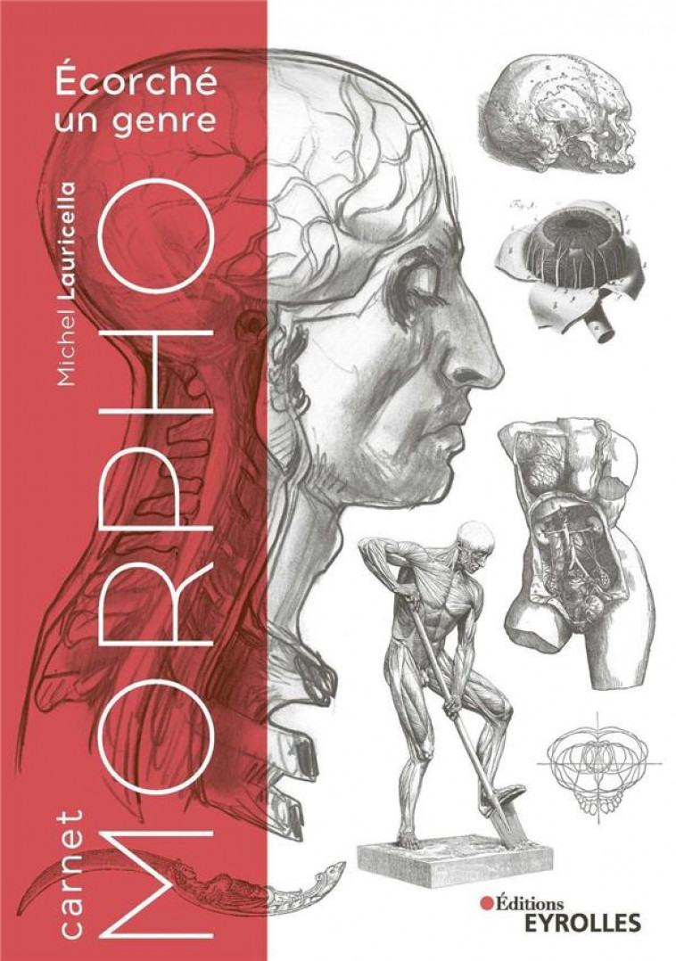 MORPHO : ANATOMIE ARTISTIQUE : CARNET MORPHO : ECORCHE UN GENRE - LAURICELLA, MICHEL - EYROLLES