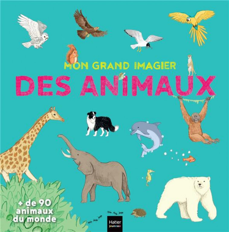 MON GRAND IMAGIER DES ANIMAUX - RUBINI STEPHANIE - HATIER SCOLAIRE