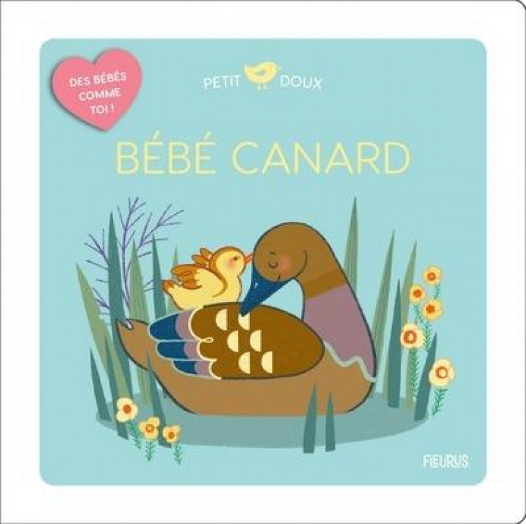 BEBE CANARD - COUDRAY ELODIE - FLEURUS