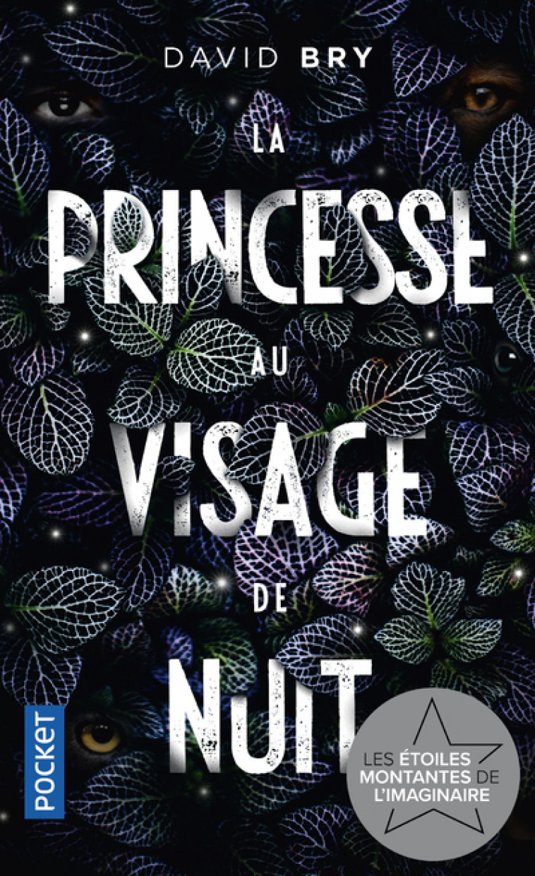 La Princesse au visage de nuit - Bry David - POCKET