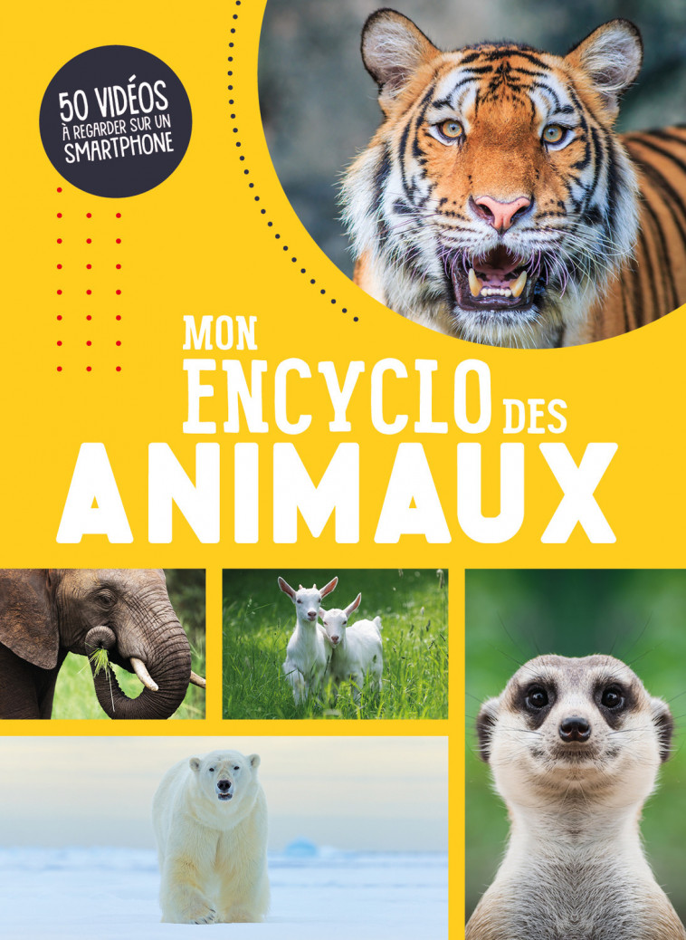 MON ENCYCLO DES ANIMAUX - Atelier Cloro Atelier Cloro - 1 2 3 SOLEIL