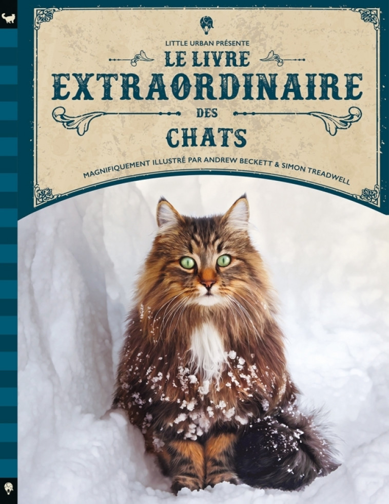 Le Livre extraordinaire des chats - Taylor Barbara Taylor Barbara, Beckett Andrew Beckett Andrew, Treadwell Simon Treadwell Simon,  Taylor Barbara,  Beckett Andrew,  Treadwell Simon - LITTLE URBAN