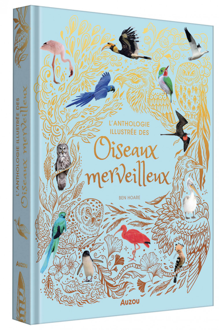 L'ANTHOLOGIE ILLUSTRÉE DES OISEAUX MERVEILLEUX - Ben Hoare, Sylvie Lucas, Emmanuelle Pingault - AUZOU