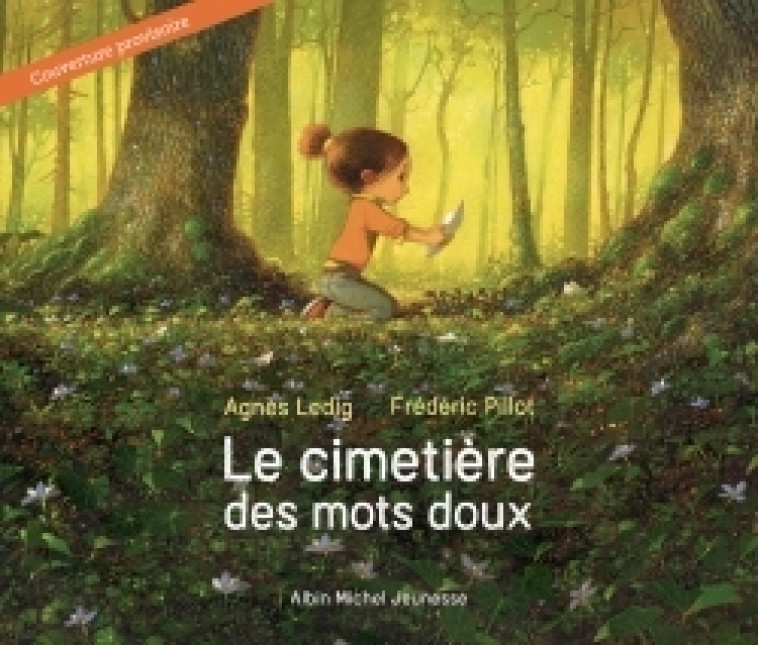 Le Cimetière des mots doux - Agnès Ledig, Frédéric Pillot - ALBIN MICHEL