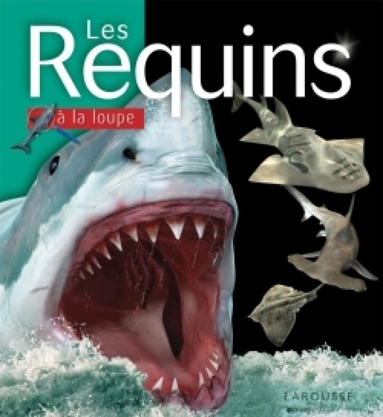 LES REQUINS - John A. MUSICK - LAROUSSE