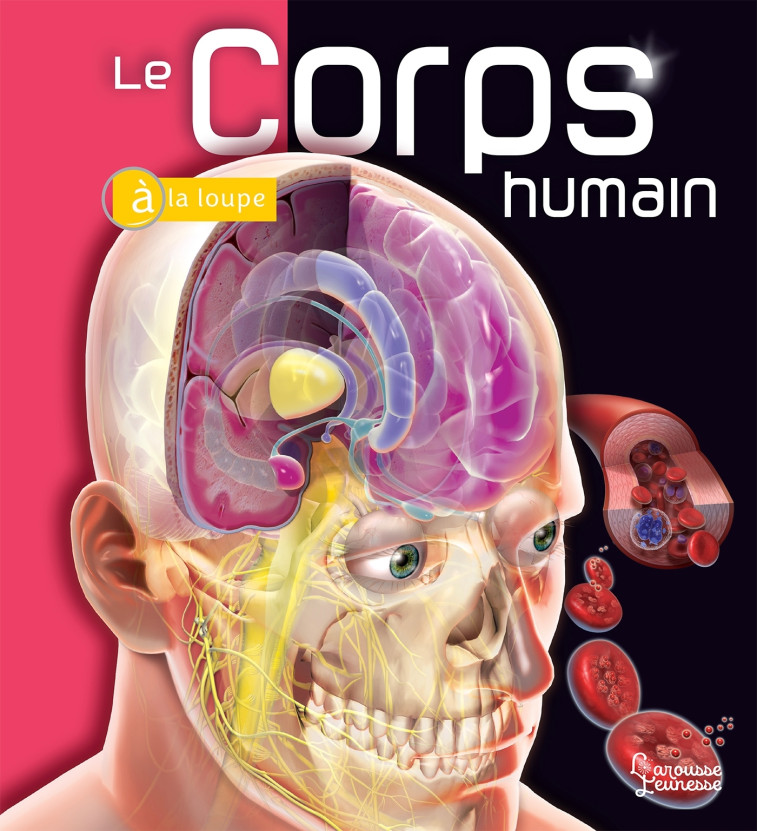 LE CORPS HUMAIN - Linda Calabresi - LAROUSSE