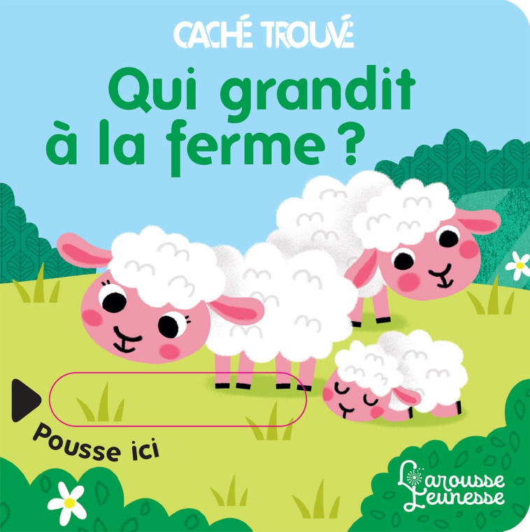 QUI GRANDIT A LA FERME ? - Sonia BARETTI - LAROUSSE