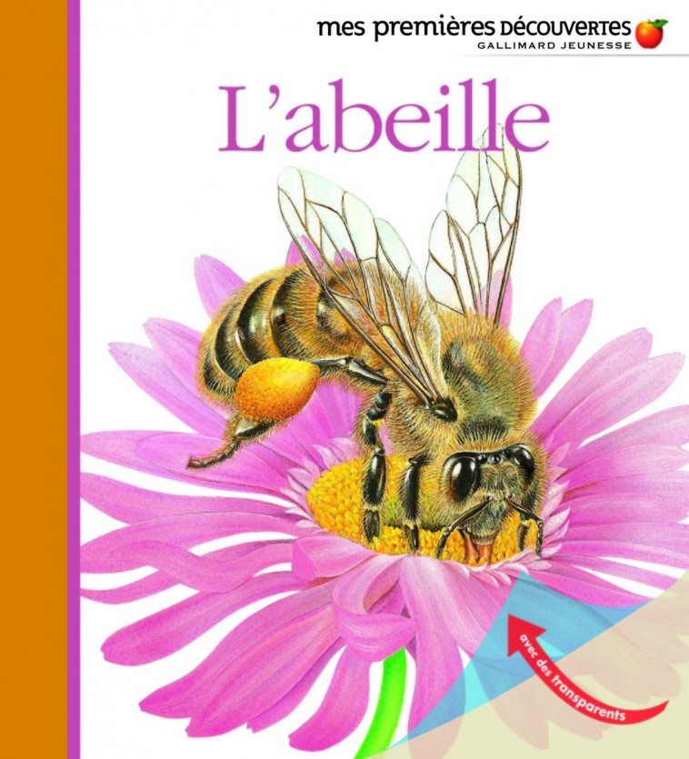 L'abeille -  Collectif, Ute Fuhr, Raoul Sautai - GALLIMARD JEUNE