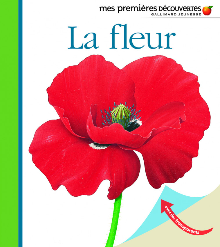 La fleur -  Collectif, RENE METTLER - GALLIMARD JEUNE