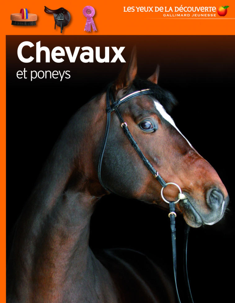 Chevaux et poneys - Juliet Clutton-Brock, Véronique Dreyfus - GALLIMARD JEUNE