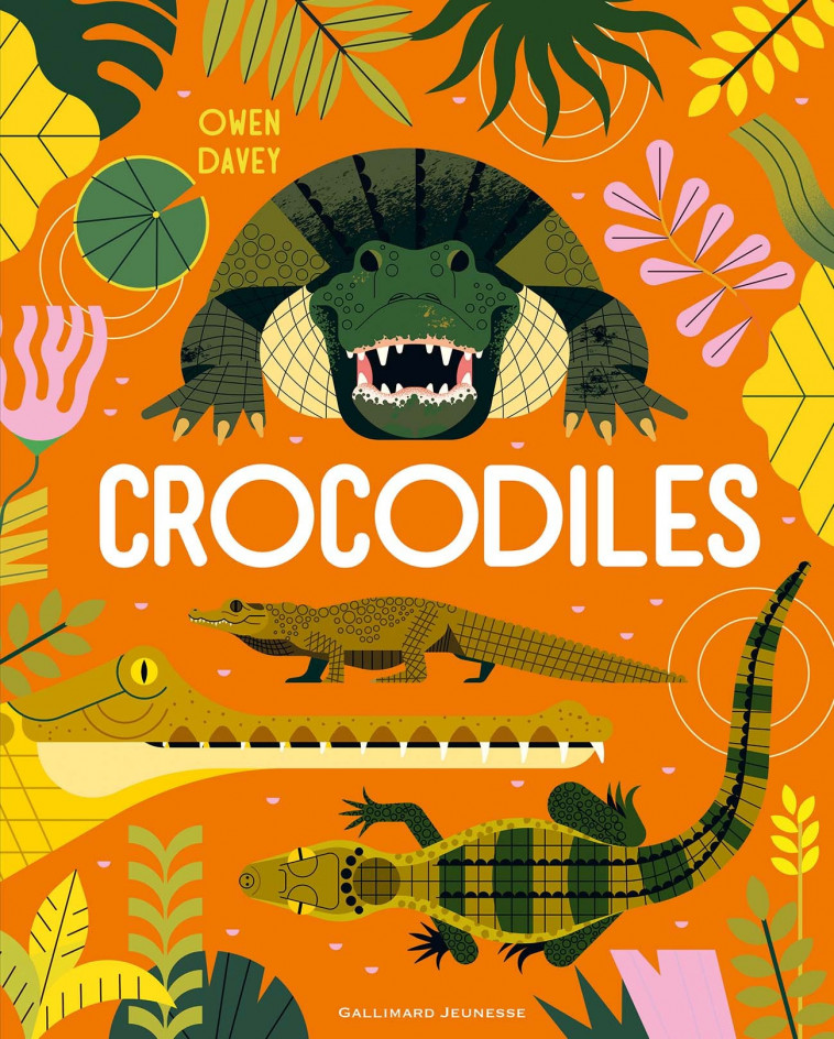 Crocodiles - Owen Davey, Bérangère Viennot - GALLIMARD JEUNE