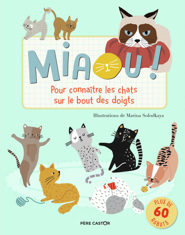 Miaou ! - Hannah Porter, Marina Solodkaya, Catherine Tron-Mulder - PERE CASTOR