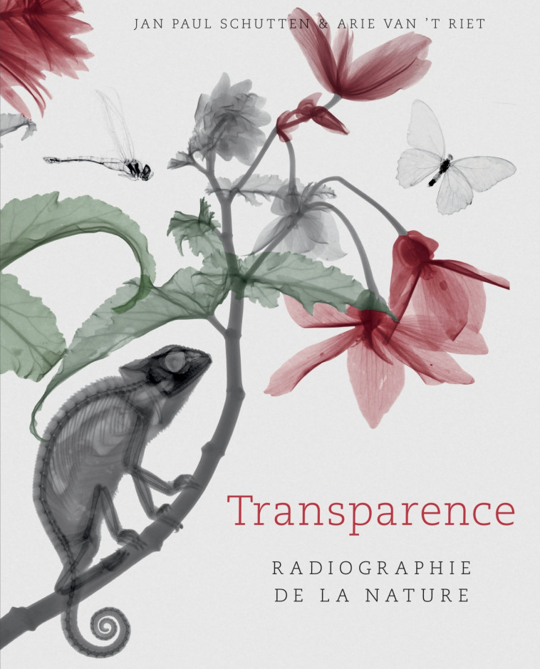 Transparence - Jean-Paul Schutten, Arie Van't Riet - ALBIN MICHEL