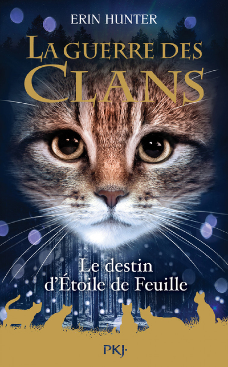 Guerre des Clans HS - tome 7 Le destin d'Etoile de Feuille - Erin Hunter, Aude Carlier - POCKET JEUNESSE