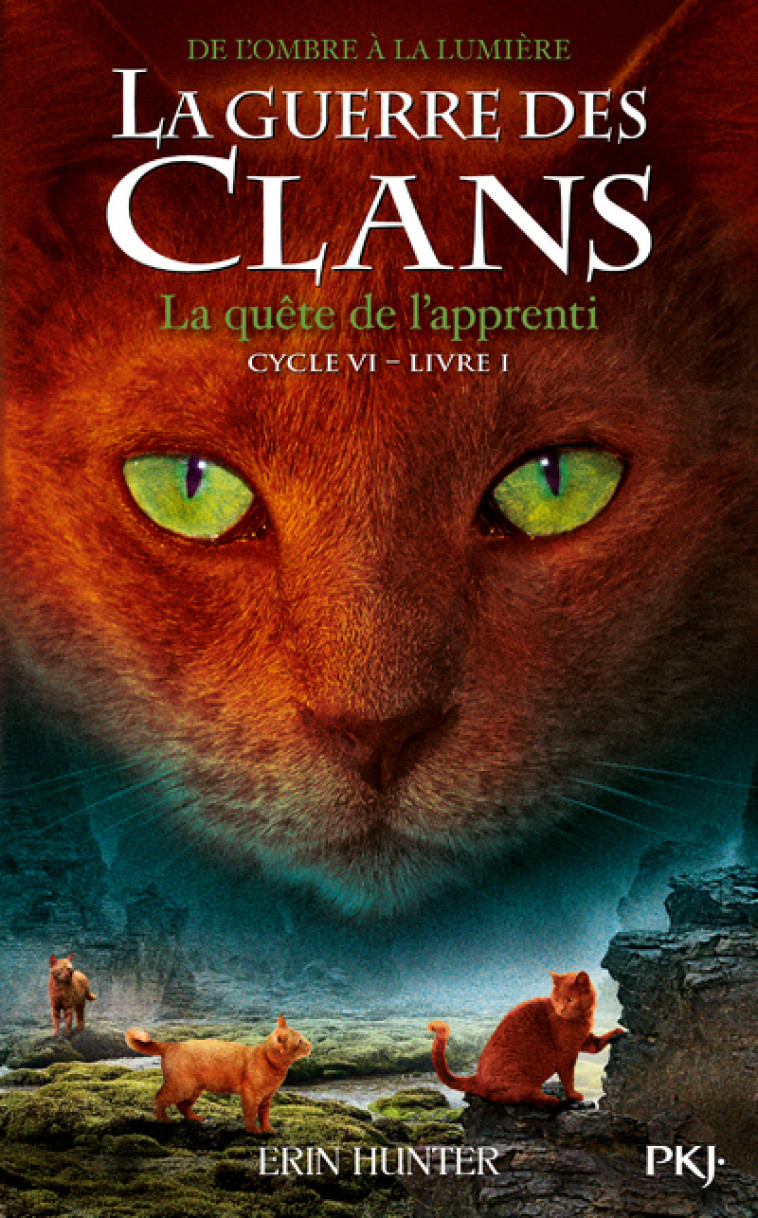 La Guerre des Clans - Cycle VI De l'Ombre à la lumière - tome 1 La quête de l'apprenti - Erin Hunter, Aude Carlier - POCKET JEUNESSE