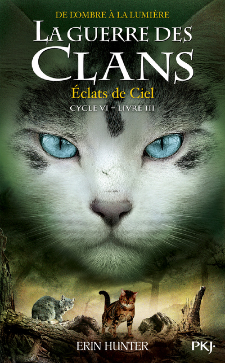 La Guerre des clans, Cycle VI - tome 3 Éclats de Ciel - Erin Hunter, Aude Carlier - POCKET JEUNESSE