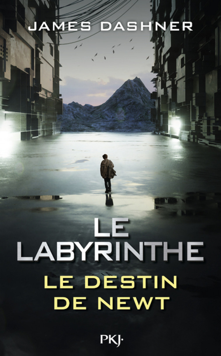 Le Labyrinthe - Le destin de Newt - James Dashner, Guillaume Fournier - POCKET JEUNESSE