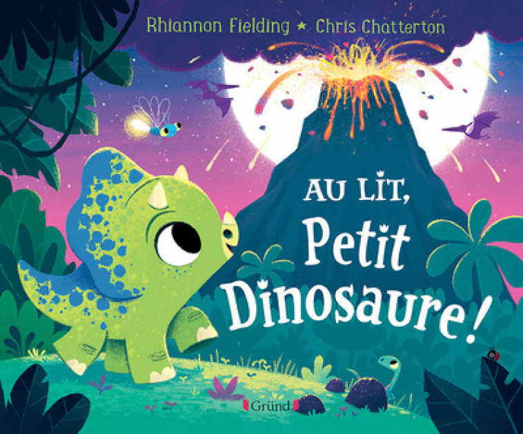 Au lit, petit dinosaure ! - Chris Chatterton, Rhiannon Fielding, Marie-Céline Mouraux - GRUND