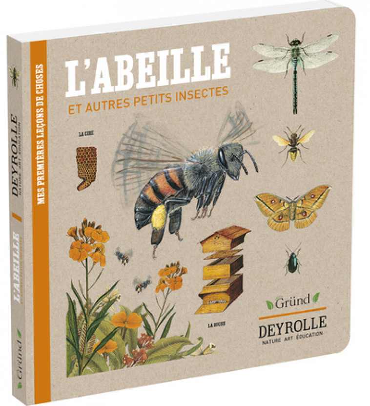 L'abeille et autres petits insectes - Deyrolle - Caroline Pélissier, Virginie Aladjidi, Deyrolle Deyrolle - GRUND