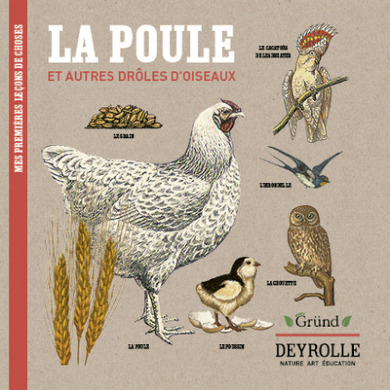 La poule et autres drôles d'oiseaux Deyrolle - Virginie Aladjidi, Deyrolle Deyrolle, Caroline Pellissier - GRUND