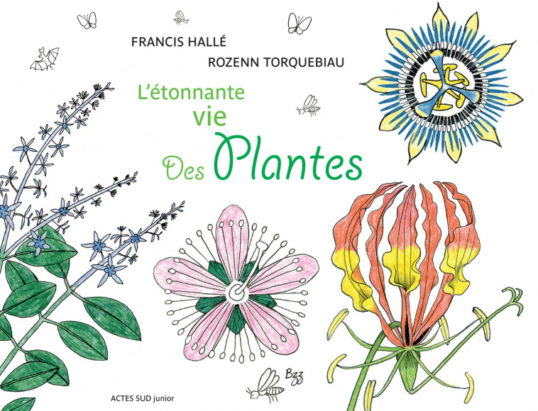 L'étonnante vie des plantes - Rozenn Torquebiau, Francis Hallé - ACTES SUD