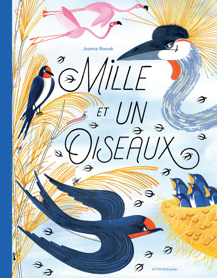 Mille et un oiseaux - Joanna Rzezak - ACTES SUD