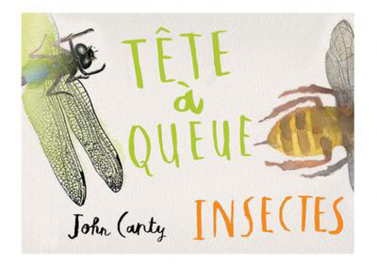 Tête à queue - Insectes - John Canty,  Collectif - GENEVRIER