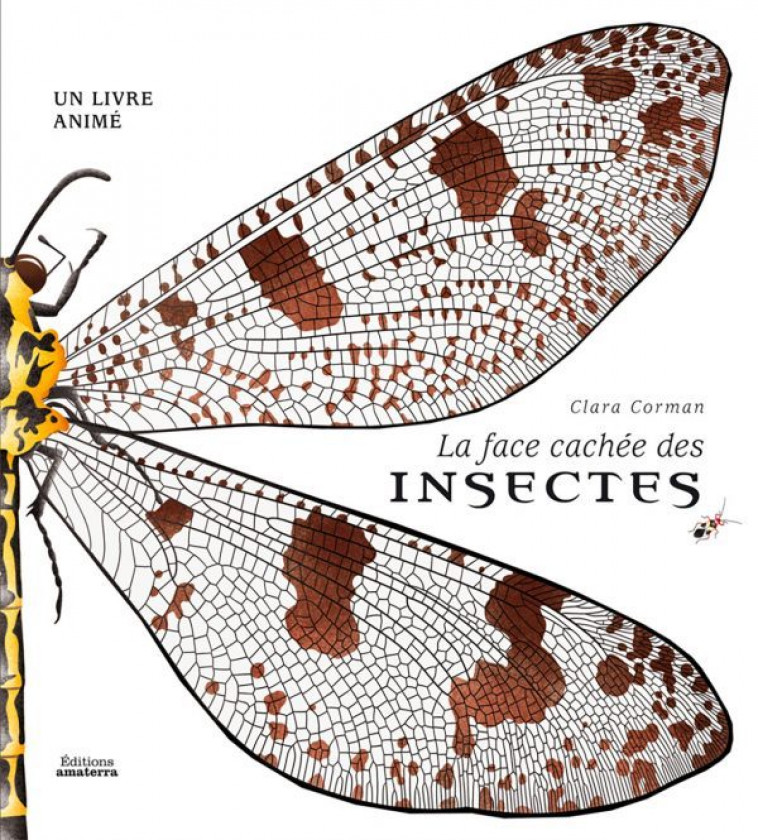 La face cachée des insectes - Clara Corman - AMATERRA