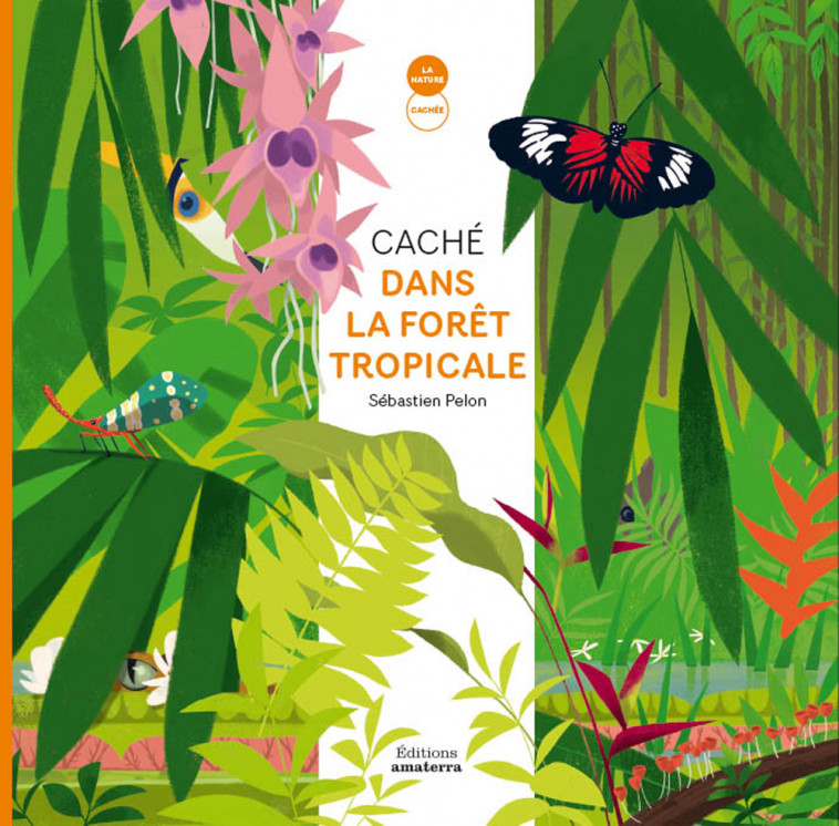 Caché dans la forêt tropicale - Sylvie Misslin, Sébastien Pelon - AMATERRA