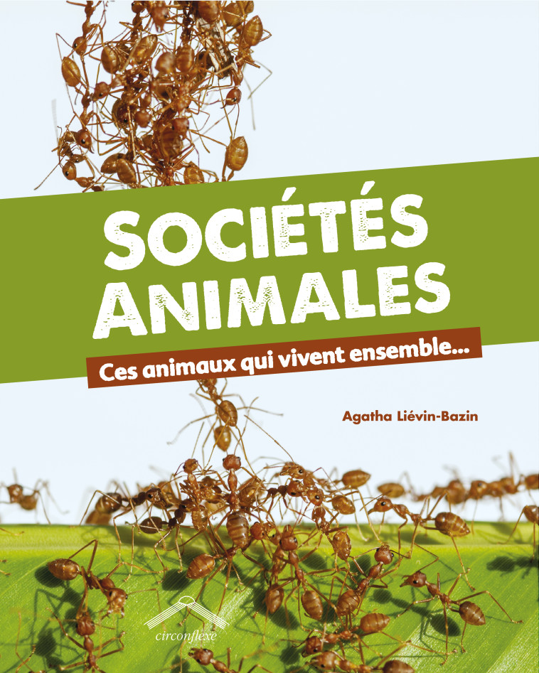 Sociétés animales  - Agatha Lievin-bazin - CIRCONFLEXE