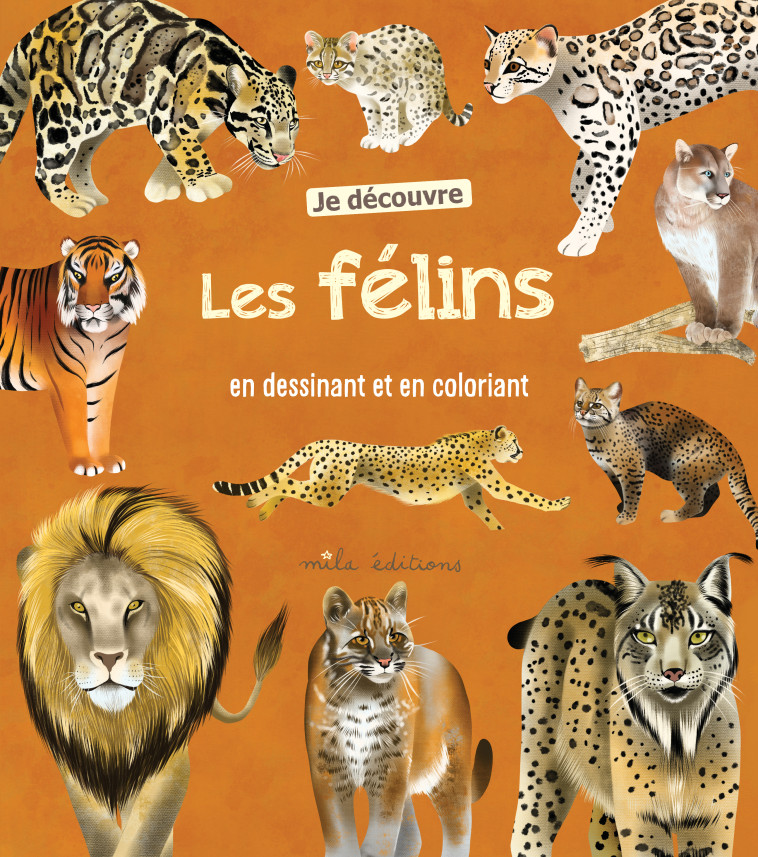 Je découvre les félins en dessinant et en coloriant  - Rebecca Roméo - MILA