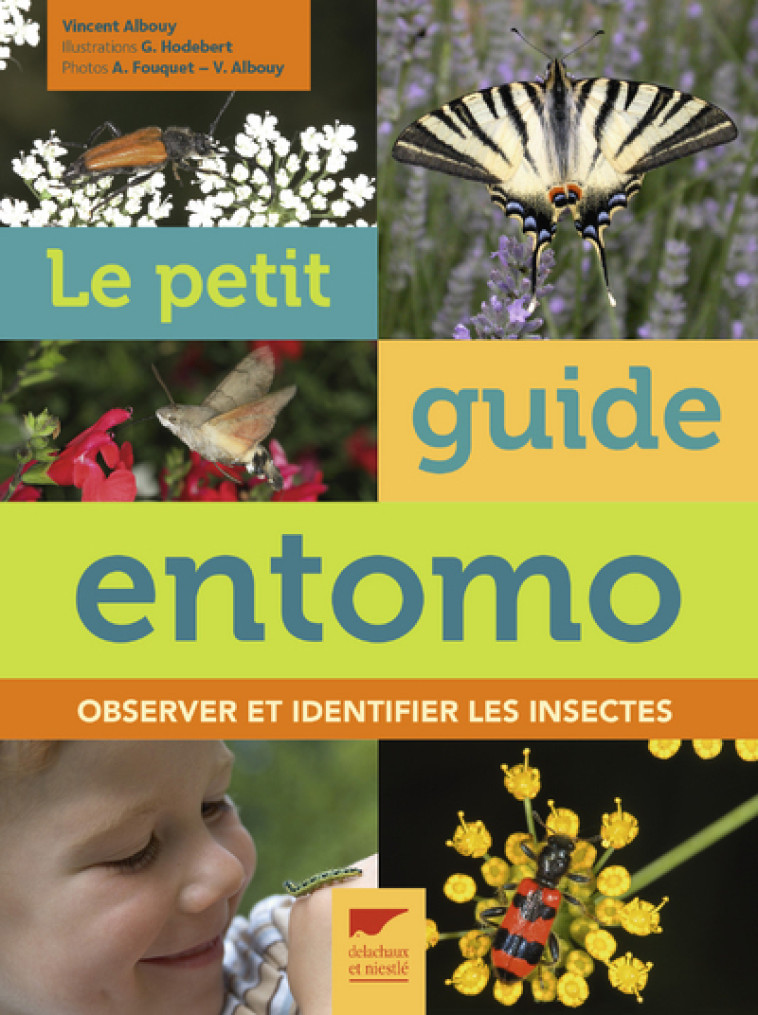 Le Petit guide entomo - Vincent Albouy - DELACHAUX