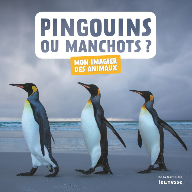 Pingouins ou manchots ? - Juliette Einhorn - MARTINIERE J