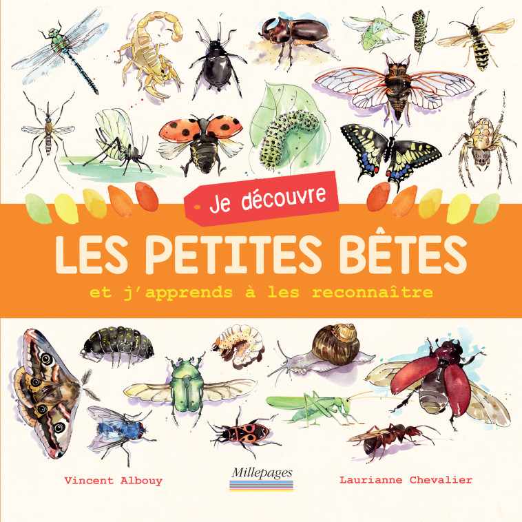 Je découvre les petites bêtes - Vincent Albouy - MILLEPAGES