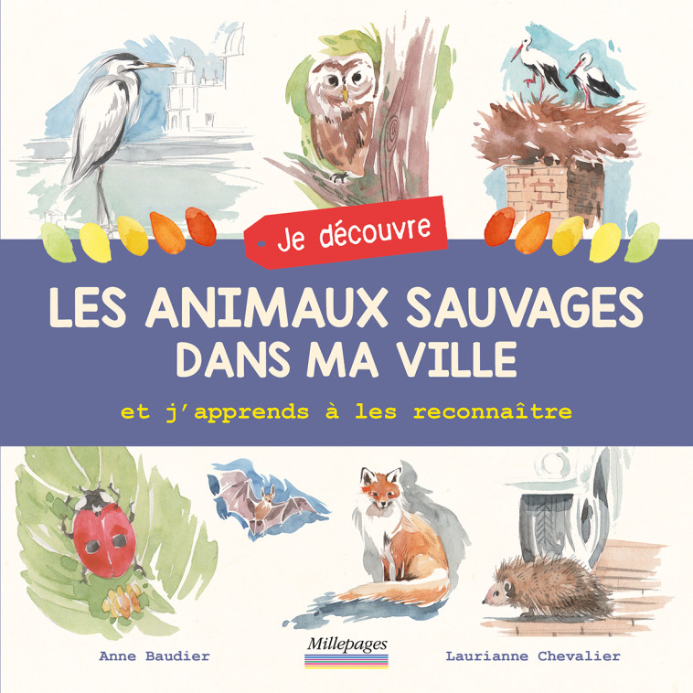 Je découvre les animaux sauvages dans ma ville et j'apprends à les reconnaître - Anne Baudier - MILLEPAGES