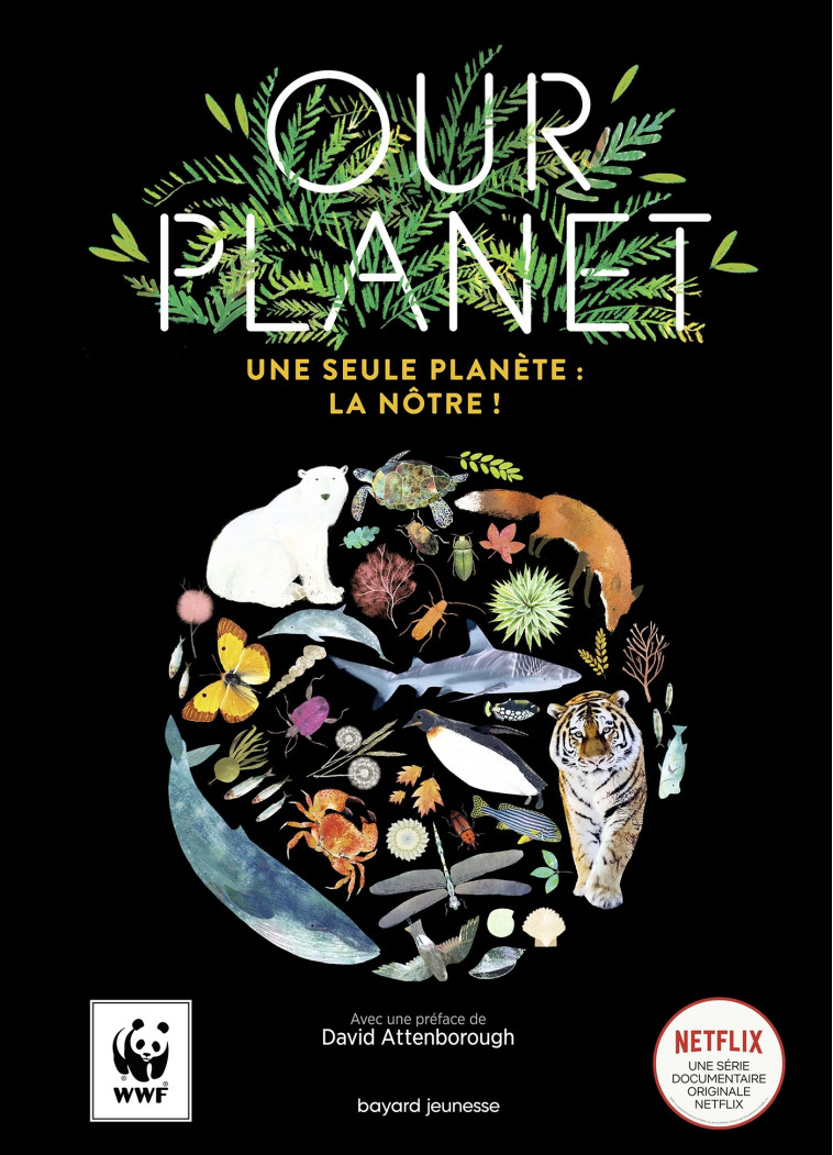 Our planet - Matt Whyman - BAYARD JEUNESSE