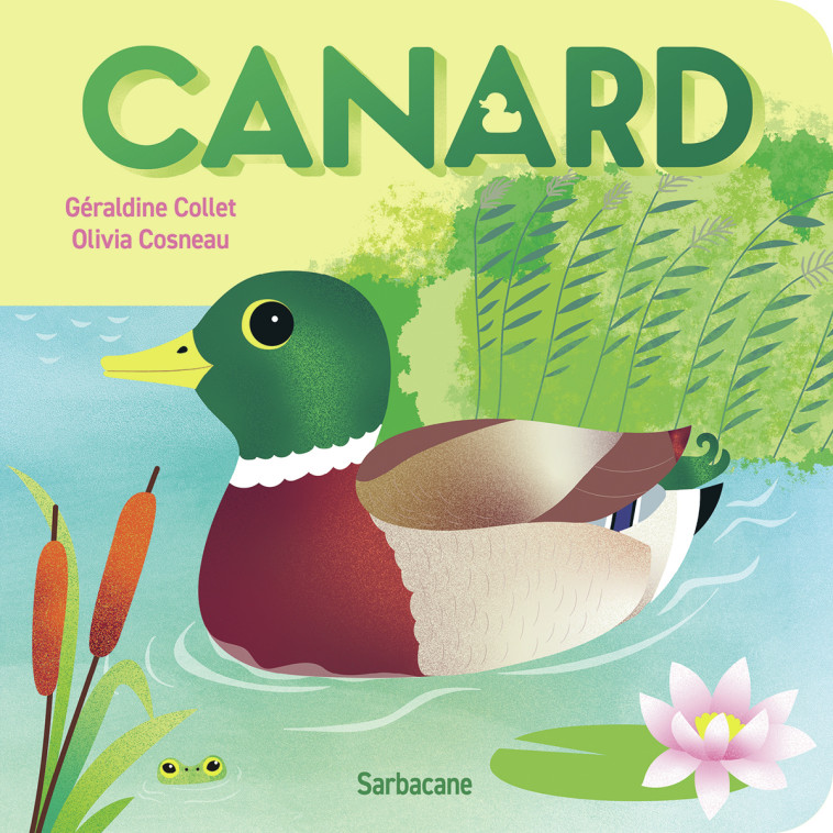 Canard - Olivia Cosneau, Géraldine Collet, Olivia Cosneau - SARBACANE